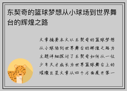 东契奇的篮球梦想从小球场到世界舞台的辉煌之路